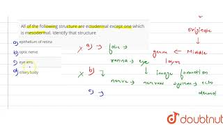 All of the following structure are ectodermal except one which is mesodermal Identify that s tr [upl. by Oknuj]