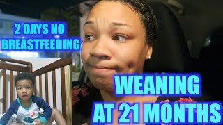 WEANING A 21 MONTH OLD FROM BREASTFEEDING COSLEEPING amp USING CABBAGE [upl. by Atnuahsal]