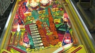 Gottlieb Totem Pinball [upl. by Ecela]