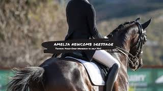 Amelia Newcomb Dressage Live Stream [upl. by Buonomo]