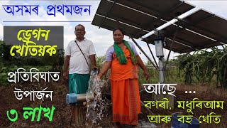 First Dragon Farmer Of Assam  অসমৰ ড্ৰেগন খেতি  Dragon farming in Assam [upl. by Tnahsarp82]