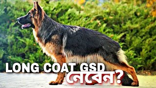 Watch before buying Long coat GSD [upl. by Ahsrat]