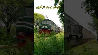 39UP Jaffar Express Loco Pilot Blink Headlights For Railfans train locomotive jaffarexpress [upl. by Lerrad]