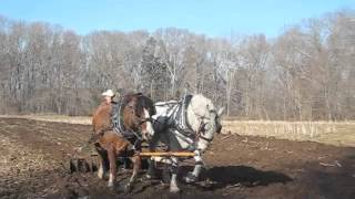 Plowing and Discing with Horses  Cedar Knoll [upl. by Selestina471]