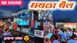 Dhavla Bail Mana Nandi  धवळा बैल मना नंदी  New Artist Band 58 Hingve Kalwan  artist band [upl. by Muriel]