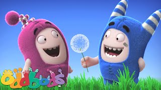 Oddbods  Dandelion [upl. by Franci329]