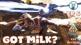 Hatching Babies and Milking Dragons  Scorched Ascended Ep6  Official PVE  Ark Ascended [upl. by Narmak]