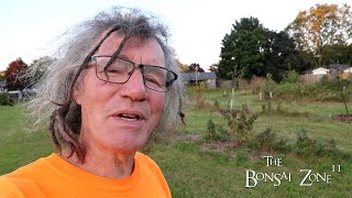 An Update to the Community Orchard The Bonsai Zone Sept 2024 [upl. by Ycnaf]