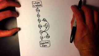 Easy Coagulation Cascade 1 of 2  Simple amp easy to remember [upl. by Gasparo]