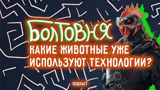 Эти животные уже используют технологии людей  Болтовня 94 [upl. by Nwahsd]