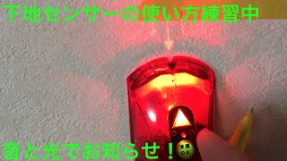 やってみた！下地センサーの使い方のお勉強です。壁中の電線にも反応あり。注意が必要！ 下地センサー [upl. by Takakura]