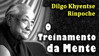 O Treinamento da Mente   Dilgo Khyentse Rinpoche [upl. by Blayze]