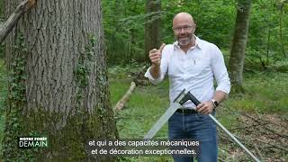 🌳NFD Extrait Parquèterie un savoirfaire français Emission 4 [upl. by Netfa]