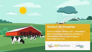 Bovins Lait  Gestion efficace du troupeau avec 365FarmNet [upl. by Ynnig]