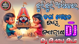 Ratha Yatra Special Dj Song Odia Jagannath Bhajan Dj Babu Bls [upl. by Pepin371]