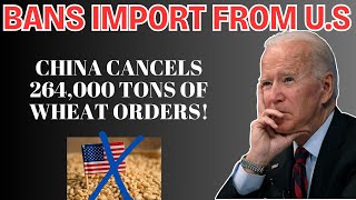 Massive Blow to US Agriculture China Cancels 264000 Tons of Wheat Orders [upl. by Nogaem]