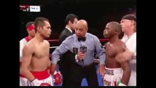 Nonito Donaire vs Moruti Mthalane  Raul Marian Box [upl. by Gilder789]