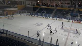 U13B Richardson vs Toronto Leaside Wildcats 3797 Nov 2 24 Not count goal [upl. by Allene]