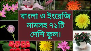 Flowers of Bangladeshবাংলাদেশের ফুল [upl. by Barnum]