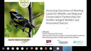 Outcomes from NRCS Goldenwinged Warbler Conservation Efforts [upl. by Joiner654]