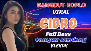 Dangdut Campuran Viral Koplo Kendang Enak Mantap Full Bass Blekok [upl. by Ahsienet272]