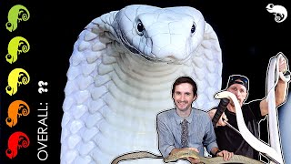 King Cobra The Best Pet Snake The Most DANGEROUS Day Of My Life [upl. by Ear]