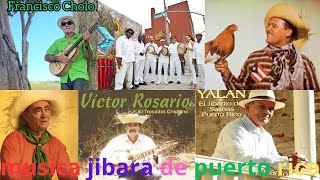 MUSICA JIBARA MIX DE PUERTO RICO [upl. by Clymer]