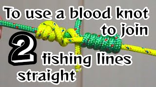 Connect thin fishing lines How to tie a Blood Knot [upl. by Pernick]