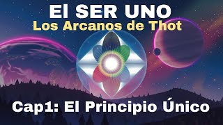 EL SER UNO CAPÍTULO 1 EL PRINCIPIO ÚNICO AUDIOLIBRO [upl. by Gerge]