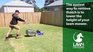 How to remove thatch from your lawn  Dethatching [upl. by Aihseket]