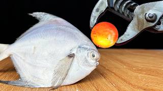 EXPERIMENT Glowing 1000 Degree METAL BALL vs PIRANHA FISH [upl. by Schubert]