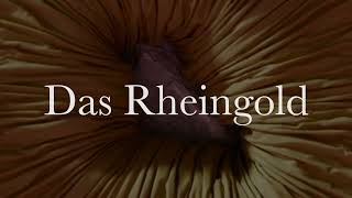 Teaser Das Rheingold – Oper Dortmund [upl. by Keil]