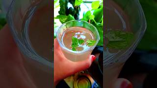 Lemon Juice🥤 homemade cooking recipe lemonjuice juice shorts viralshorts [upl. by Anirtek419]