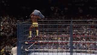 HULK HOGAN SUPERPLEX FROM TOP OF STEEL CAGE [upl. by Liatrice847]