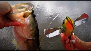 Pompadour Jr Bass Fishing  Crazy Topwater Action and Big Blowups [upl. by Icam809]