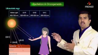 Chemical carcinogenesis and carcinogens  Usmle step 1 Pathology Neoplasia  Dr G Bhanu Prakash [upl. by Htomit928]