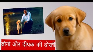 quotब्रोनो और दीपक की दोस्ती प्यार वफादारी और एक नई शुरुआत  Emotional Dog Story 🐾❤️quot [upl. by Pall765]