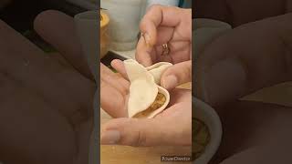 shortshow to fold dumplingsdumpling folding ideasshorts [upl. by Ajam]