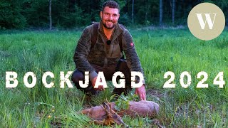 Bockjagd im Mai 2024  WaldGeist  4K [upl. by Junie]