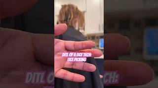 Lice removal services l lice picking l small business explore lice hair shorts [upl. by Ebony831]