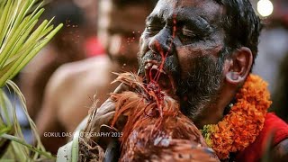 karinkali pooram ✨ kannenkavu 🔥 [upl. by Sammy]