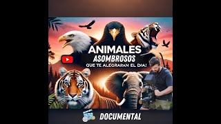 🌍 Documental Animales Sorprendentes Que Te Harán Sonreír 🐒🐼 [upl. by Tressia]