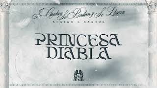 Adrian L Santos  Princesa Diabla Lyric Video [upl. by Trixy]