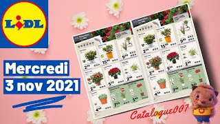 ARRIVAGE LIDL PLANTES amp FLEURS  3 NOVEMBRE 2021 [upl. by Yedok856]