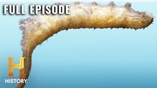 The Proof Is Out There Terrifying Amorphous Alien S2 E27  Full Episode [upl. by Nennarb]