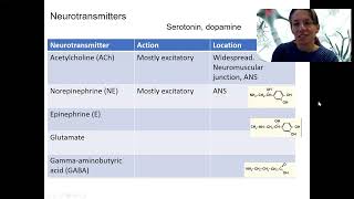 914 neurotransmitters [upl. by Robinette]