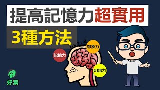 提高記憶力超實用的3個方法！ [upl. by Akimak]