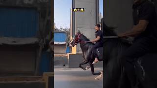 Dont miss the end 😱🐎horseriding ghoda trendingshorts ganeshastatus browsefeatures shortsfeed [upl. by Intirb]