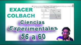 Preguntas 56 a 60 Ciencias Experimentales Exacer [upl. by Ibor]