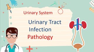 Urinary Track Infection  Pathology نصيحة بداية الفيديو [upl. by Enitsud57]